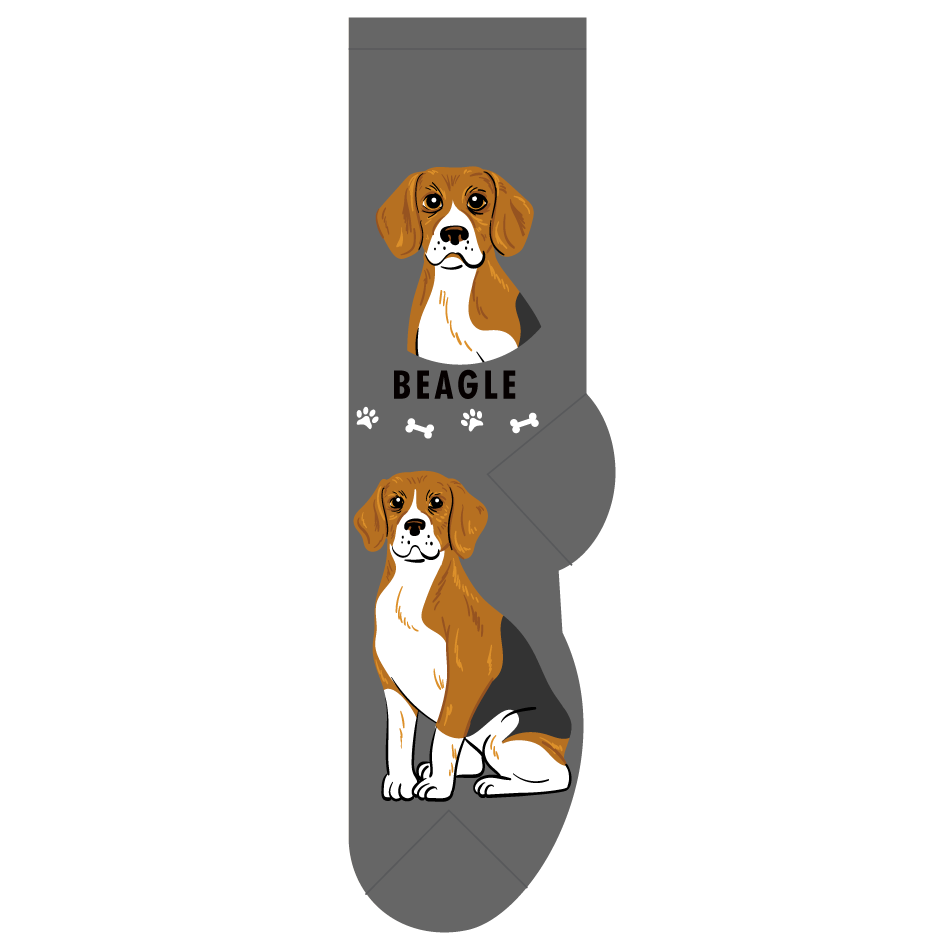 Beagle