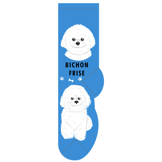 Bichon Fris