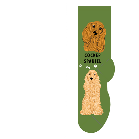 Cocker Spaniel